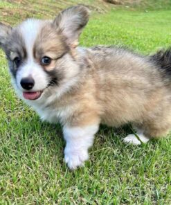 Mable